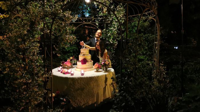 Taglio torta 🎂 - 1