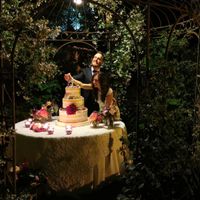 Taglio torta 🎂 - 1