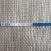 Chi non le aspetta per fine Maggio - 1