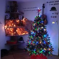 Avete mai fatto l'albero insieme? - 1