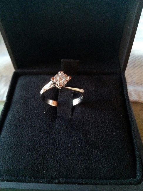 Finalmente è arrivato l'anello - 1