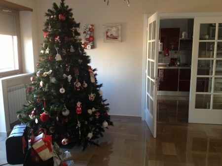 Albero all'americana 