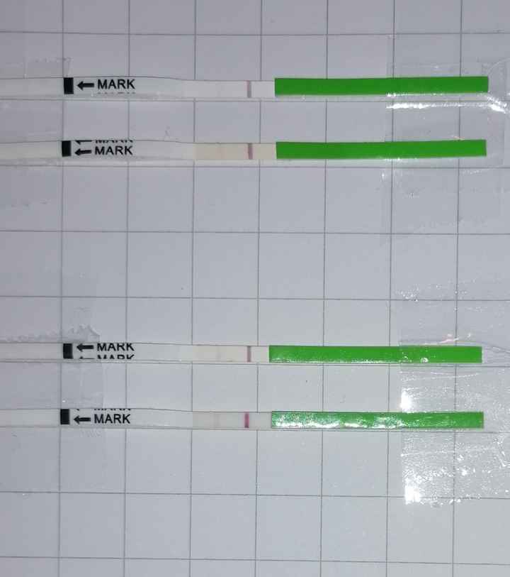 Chi non le aspetta per Dicembre 2021 🤶 🎅 🎄 - 1