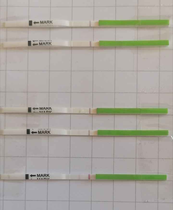 Chi non le aspetta per Dicembre 2021 🤶 🎅 🎄 - 1