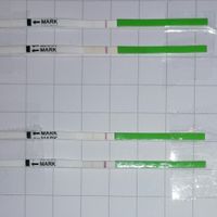 Chi non le aspetta per Dicembre 2021 🤶 🎅 🎄 - 1