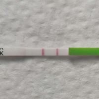 Chi non le aspetta per Dicembre 2021 🤶 🎅 🎄 - 1