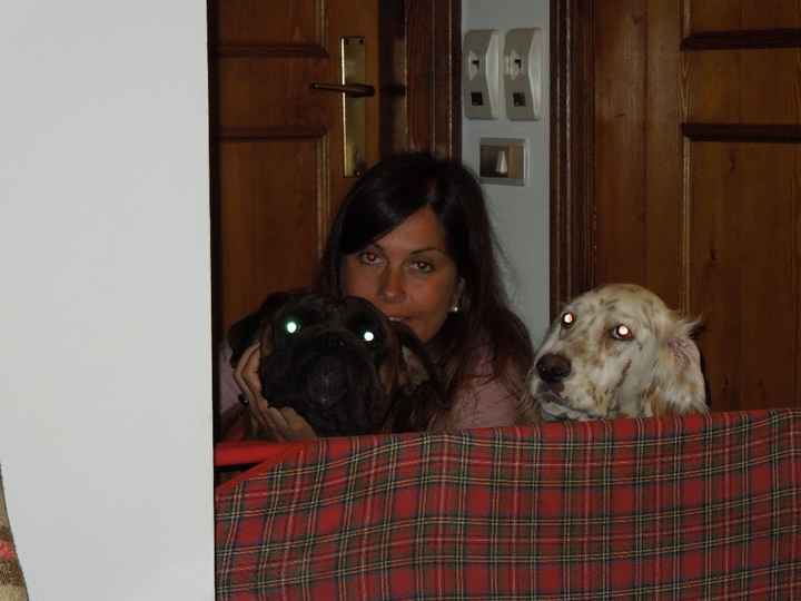 Matrimonio con i 4 zampe!!!