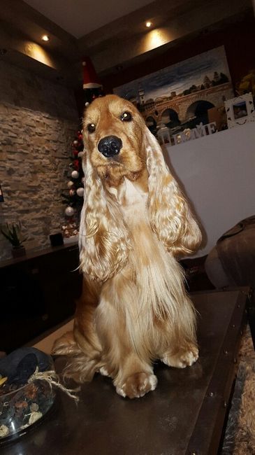 Se non ci fossero loro... - 1