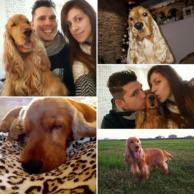 Se non ci fossero loro... - 2