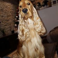 Se non ci fossero loro... - 1