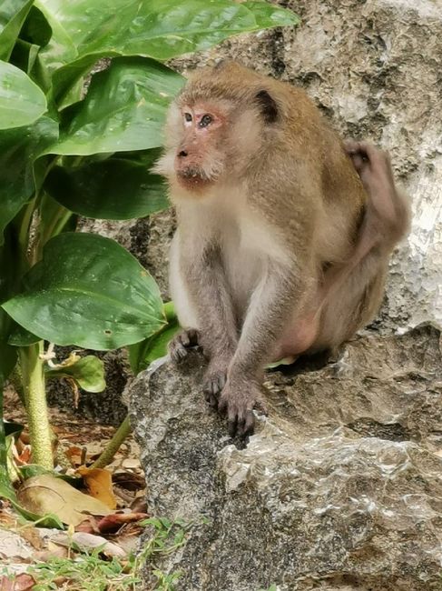 Viaggio di nozze - 9