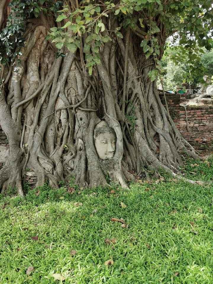 Honeymoon 😍😍 Thailandia - 5