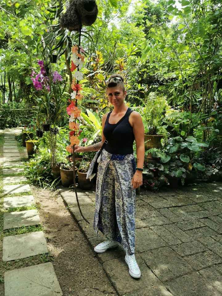 Viaggio di nozze - 11