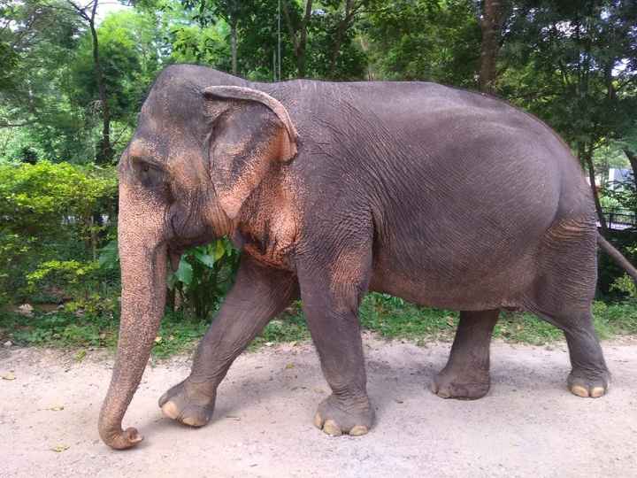 Luna di miele prenotata 😊😍 - 8