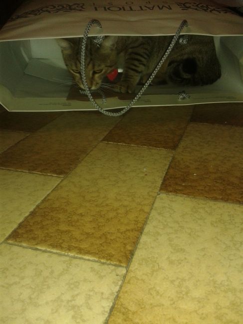 I nostri cuccioli!!! - 3