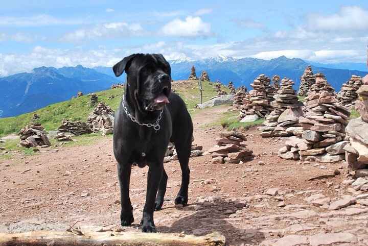 Il mio principino - 1