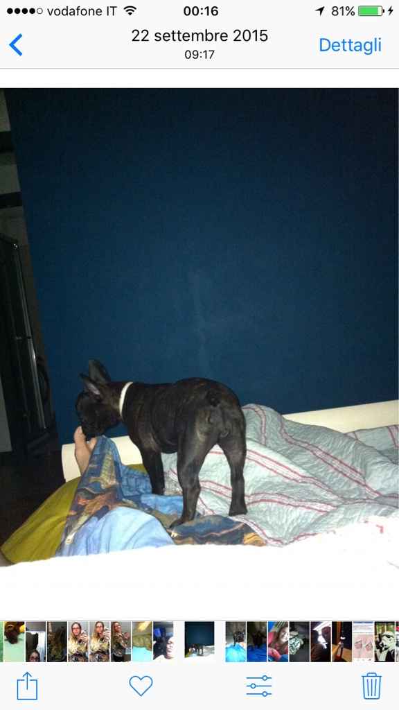 Pavimento sul rosa e abbinamenti..help! - 2