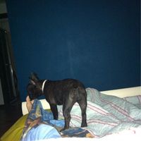 Pavimento sul rosa e abbinamenti..help! - 2