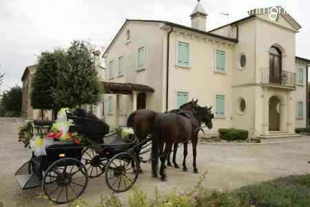 A -410 location scelta! (spose veneto) - 2