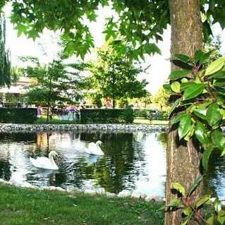 A -410 location scelta! (spose veneto) - 3