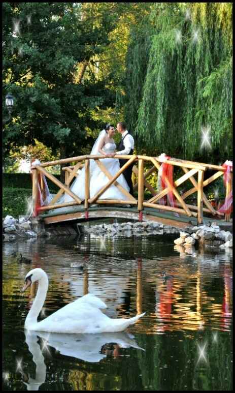 A -410 location scelta! (spose veneto) - 4