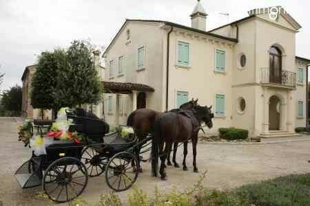 A -410 location scelta! (spose veneto) - 2