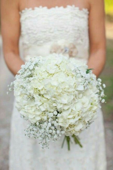 Bouquet di ortensie 🌸 - 1