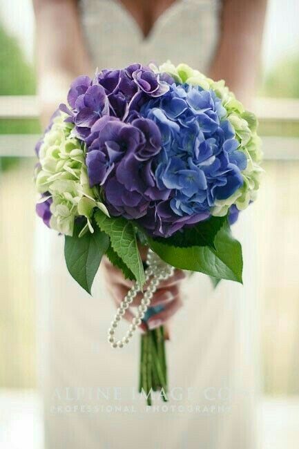 Bouquet di ortensie 🌸 - 2