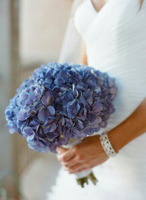 Bouquet di ortensie 🌸 - 4