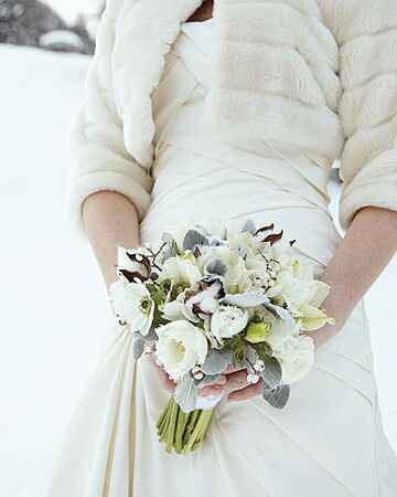Fiori - 3