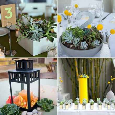  tema matrimonio 😍 - 1