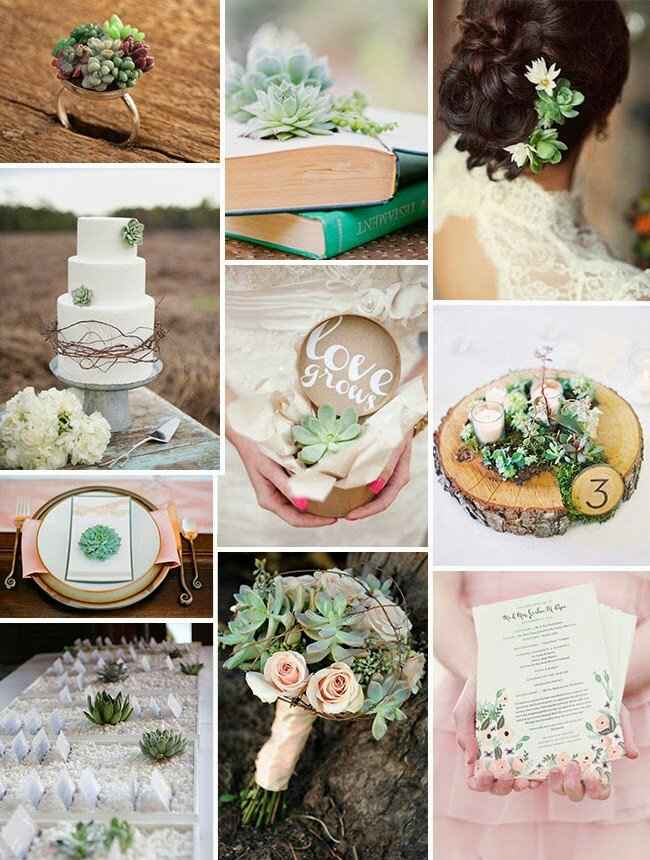  tema matrimonio 😍 - 5