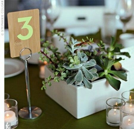  tema matrimonio 😍 - 2