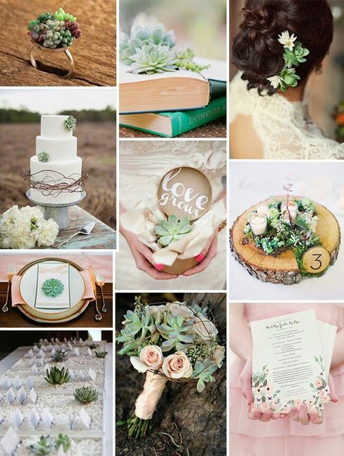  tema matrimonio 😍 - 5