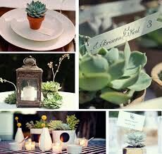  tema matrimonio 😍 - 9