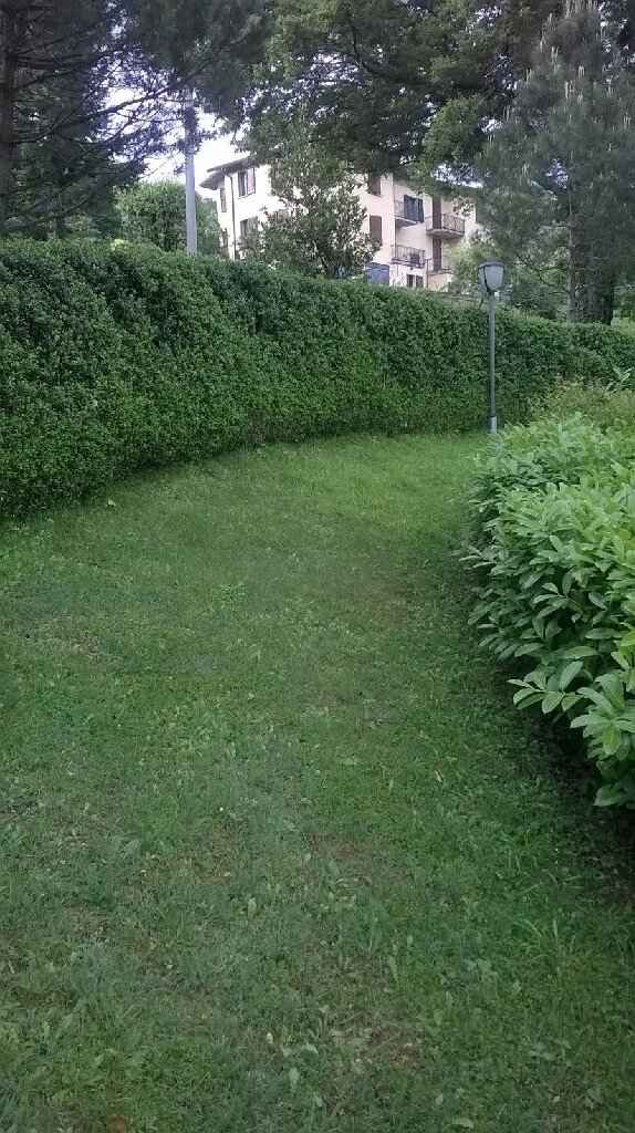 Se il parroco  approva questa sara la chiesa - 3