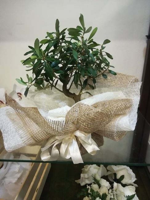  Tema autunno e albero... - 3