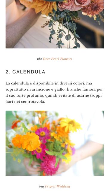 Fiori di ottobre 2