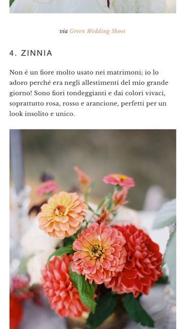 Fiori di ottobre 3