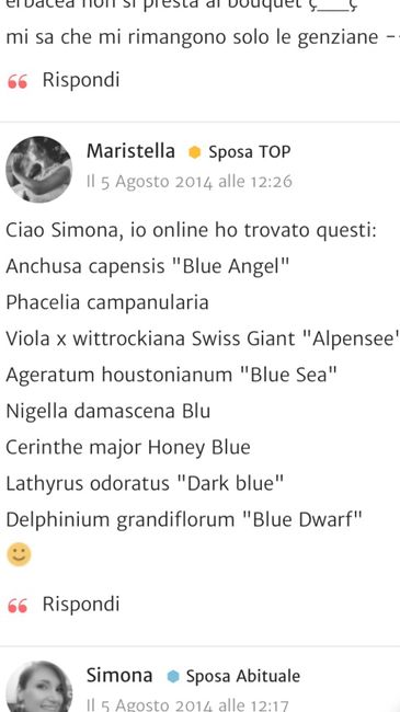 Fiori Blu 5