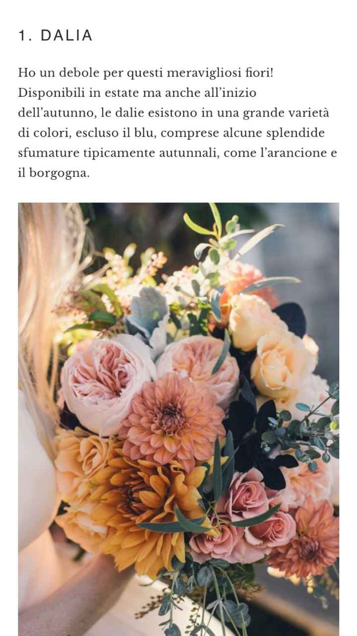  Mazzo - 1