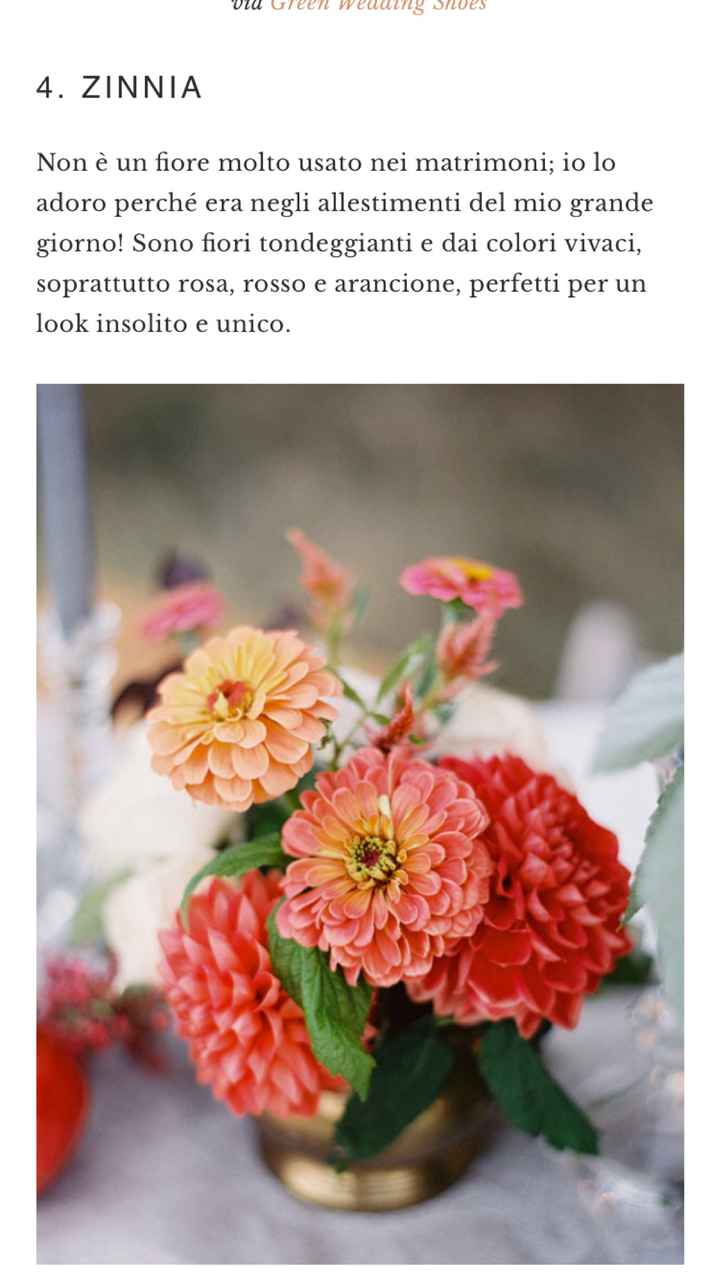  Fiori ottobre - 4