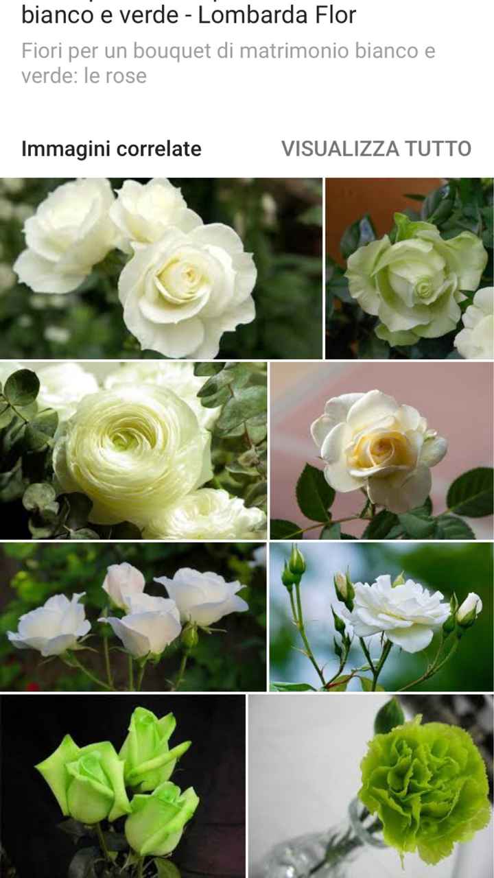  Help ho bisogno di un consiglio sui fiori! - 1