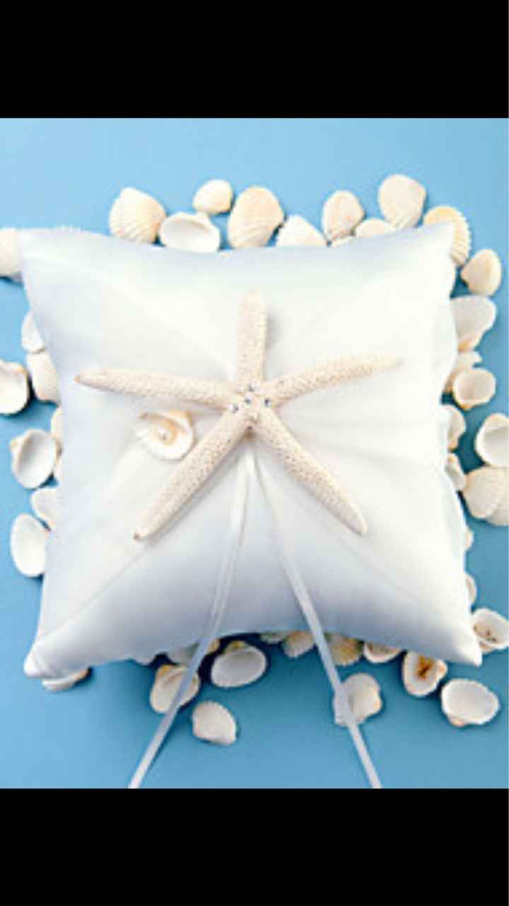  Stelle marine - 1