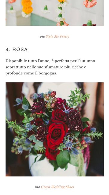  Mazzo - 8