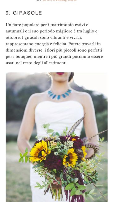  Mazzo - 9