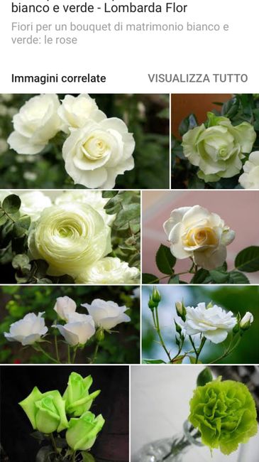  Help ho bisogno di un consiglio sui fiori! - 1