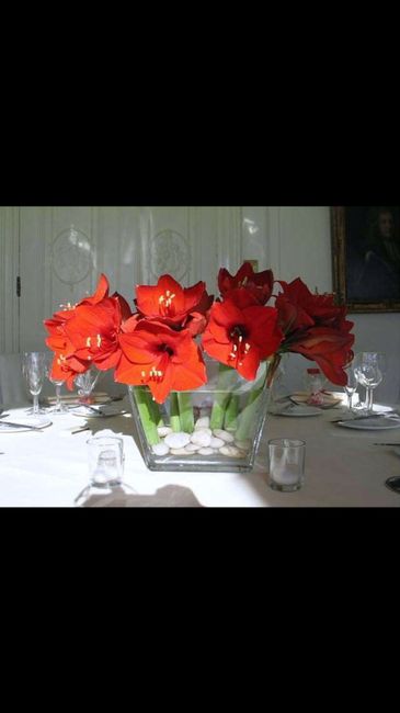  Help me matrimonio in rosso! - 6