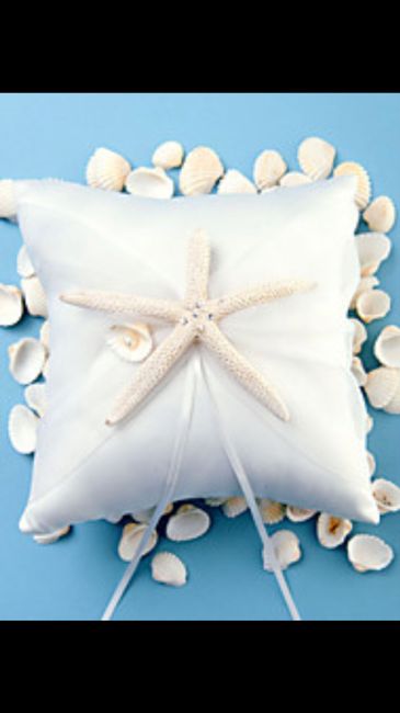  Stelle marine - 1