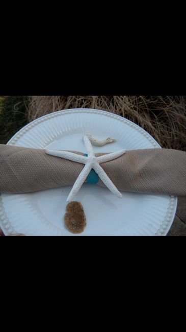  Stelle marine - 3
